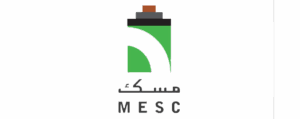 6 300x119